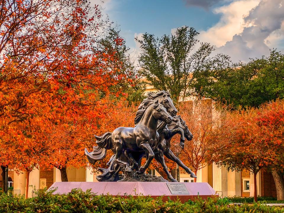 Mustang sculptures on SMU campus